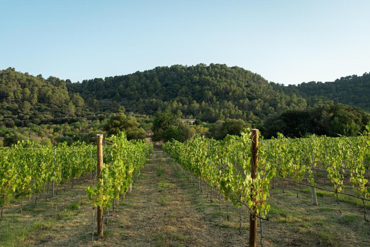 Rondaia, A Winery & Fincahotel-agroturismo In Tramuntana * Esporles