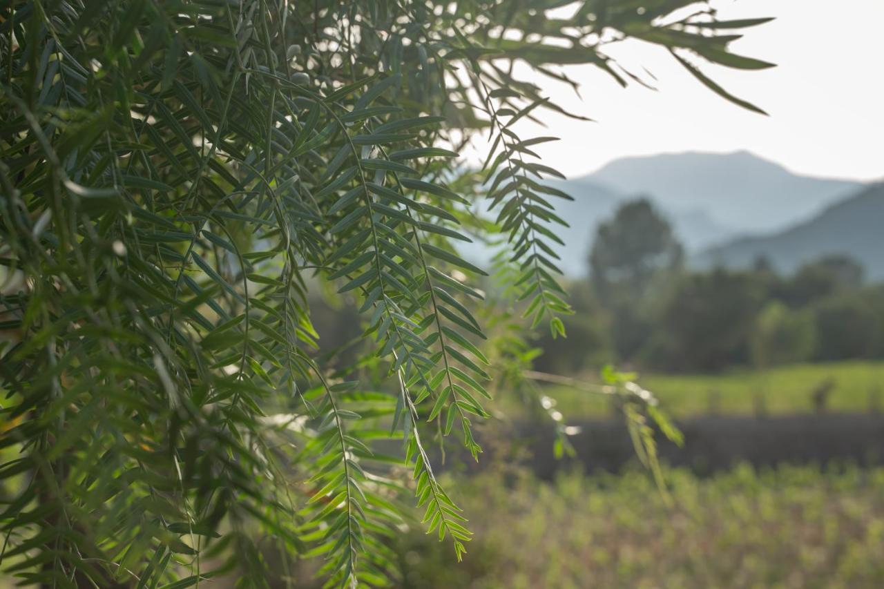 Rondaia, A Winery & Fincahotel-agroturismo In Tramuntana