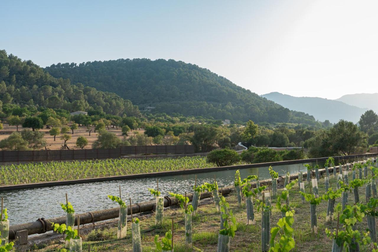 Rondaia, A Winery & Fincahotel-agroturismo In Tramuntana